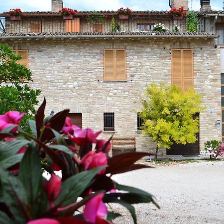 Camere I Monelli Assisi Buitenkant foto